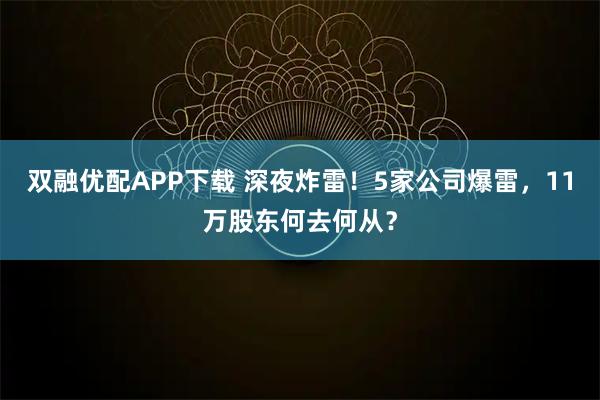 双融优配APP下载 深夜炸雷！5家公司爆雷，11万股东何去何从？